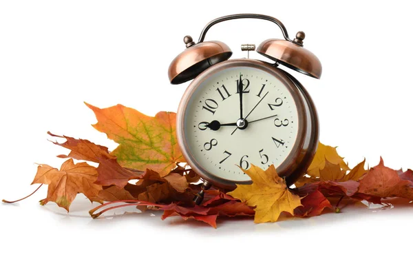 Despertador retro em folhas de outono — Fotografia de Stock