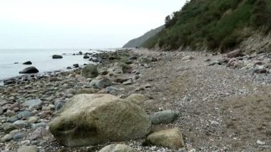 Manzara Hiddensee Island Sahil (Mecklenburg-Vorpommern, Germany). Sonbahar zaman renkli yaprakları ile.