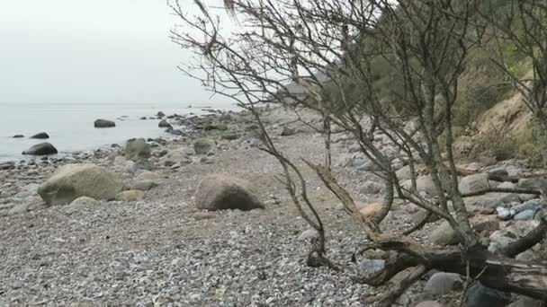 Эрозия берега скалы на пляже острова Хиддензее (Германия) ) — стоковое видео