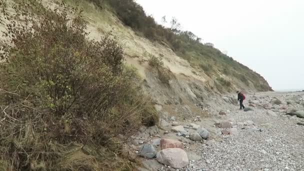 Búsqueda de fósiles en la playa de Hiddensee (Alemania ) — Vídeos de Stock