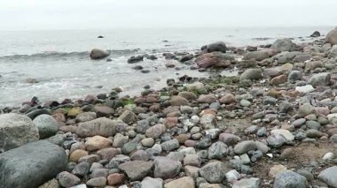 Manzara Hiddensee Island Sahil (Mecklenburg-Vorpommern, Germany). Sonbahar zaman renkli yaprakları ile.