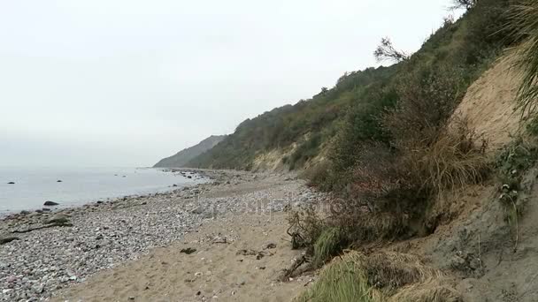 Paisagem da costa da ilha Hiddensee (Mecklemburgo-Pomerânia Ocidental, Alemanha). Tempo de outono com folhas coloridas . — Vídeo de Stock