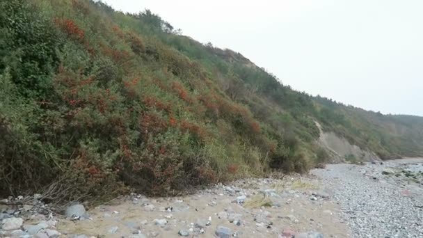 ヒデンゼー島海岸 (ドイツ ・ メクレンブルク = フォアポンメルン州) の風景です。紅葉と秋の時間. — ストック動画