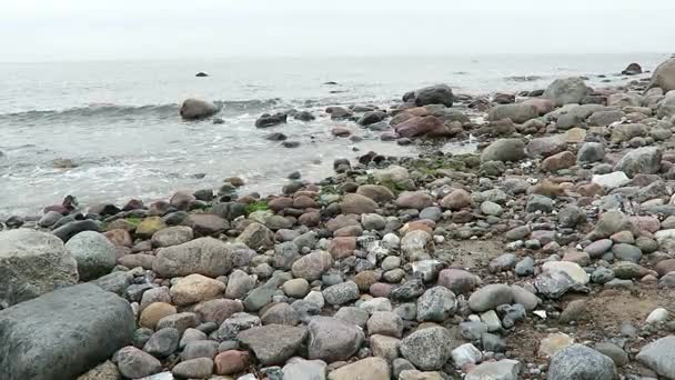 Paisagem da costa da ilha Hiddensee (Mecklemburgo-Pomerânia Ocidental, Alemanha). Tempo de outono com folhas coloridas . — Vídeo de Stock