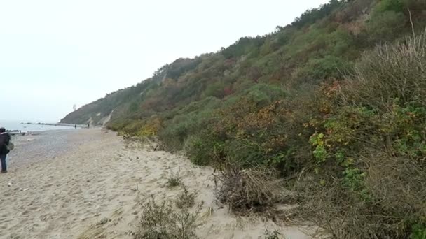 Pessoas caminhando na praia Paisagem de Hiddensee. Outono (Alemanha ) — Vídeo de Stock