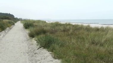 Sonbahar zaman Hiddensee Adası. Reed ve sahil sahil. (Almanya)