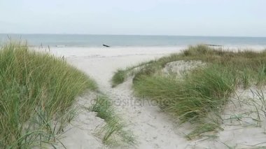 Sonbahar zaman Hiddensee Adası. Reed ve sahil sahil. (Almanya)