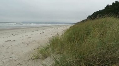 Prora plaj üzerinde (Rügen Adası) Almanya manzara. Sonbahar zaman. fırtınalı hava.