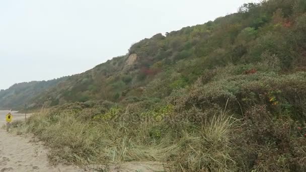 Paisaje de la costa insular de Hiddensee (Mecklemburgo-Vorpommern, Alemania). Tiempo de otoño con hojas coloridas . — Vídeo de stock