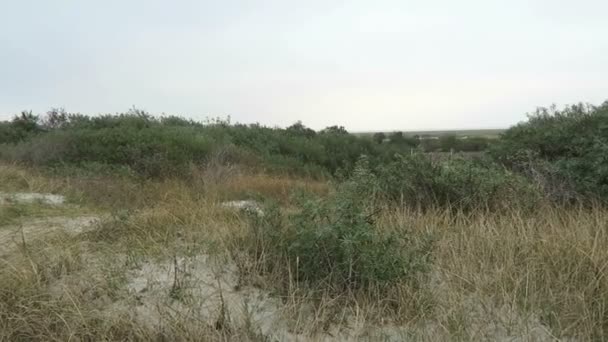 Folk på strandpromenaden ön Hiddensee (Mecklenburg-Vorpommern, Tyskland) — Stockvideo