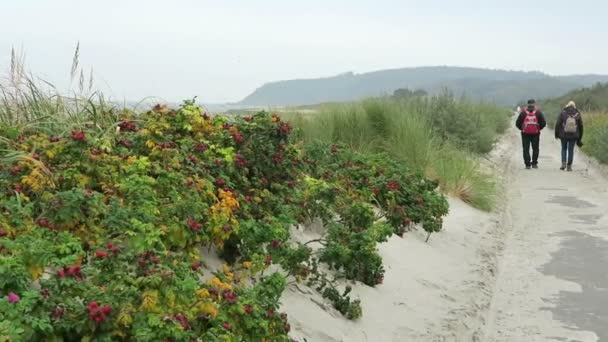 Lidé na plážové promenádě na ostrově Hiddensee ostrov (Meklenbursko-Přední Pomořansko, Německo) — Stock video