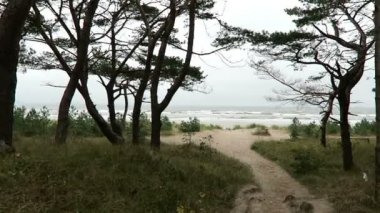 Prora plaj üzerinde (Rügen Adası) Almanya manzara. Sonbahar zaman. fırtınalı hava.