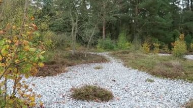 Sonbahar zaman flint taş Neu Mukran (Rügen Adası), alan içinde Almanya. Feuersteinfeld.