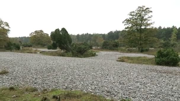 Automne dans le champ de pierre de silex de Neu Mukran (île de Rugen), Allemagne. Feuersteinfeld . — Video