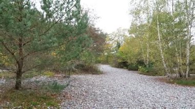 Sonbahar zaman flint taş Neu Mukran (Rügen Adası), alan içinde Almanya. Feuersteinfeld.