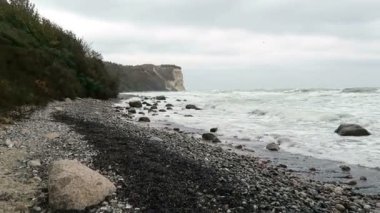 Cape Arkona Baltık Denizi sahilinde plaj manzara. Cliff ve karaçalı çalılar tebeşir. (Mecklenburg-Vorpommern, Germany). Rügen Adası.