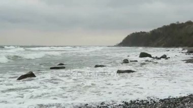 Cape Arkona Baltık Denizi sahilinde plaj manzara. Cliff ve karaçalı çalılar tebeşir. (Mecklenburg-Vorpommern, Germany). Rügen Adası.