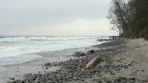 Οι άνθρωποι περπατώντας κατά μήκος την παραλία του Cape Arkona ψάχνει για πυρόλιθος πέτρα απολιθώματα. Φθινοπωρινές καιρικές συνθήκες και τα κύματα. (Rugen Isle, Γερμανία) — Αρχείο Βίντεο