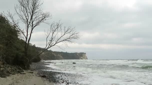 海滩的海角 Arkona 在波罗的海海岸的景观。粉笔悬崖和木棍的灌木丛。（梅克伦堡-前，德国）。吕根岛岛. — 图库视频影像