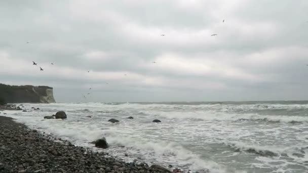 Люди, що йдуть уздовж пляжу мис Аркона шукає Флінт кам'яних скам'янілостей. Восени погода і хвиль. (Рюген острів, Німеччина) — стокове відео