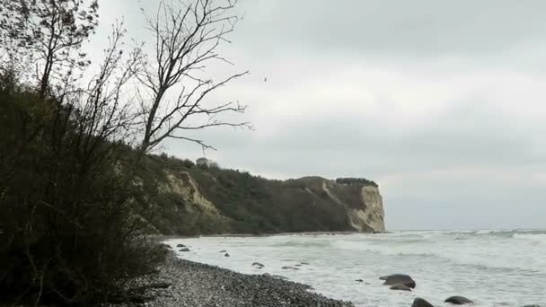 Paesaggio balneare di Capo Arkona sulla costa del Mar Baltico. Gesso Cliff e cespugli di biancospino. (Mecklenburg-Vorpommern, Germania). Isola di Rugen . — Video Stock