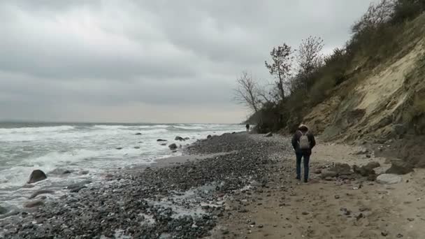 Les gens marchent le long de la plage du Cap Arkona à la recherche de fossiles de pierre de silex. Météo automnale et vagues. (Rugen Isle, Allemagne ) — Video