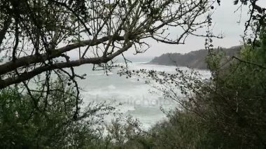 Cape Arkona Baltık Denizi sahilinde plaj manzara. Cliff ve karaçalı çalılar tebeşir. (Mecklenburg-Vorpommern, Germany). Rügen Adası.