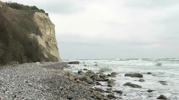 Stranden landskap av Kap Arkona på Östersjökusten. Krita Cliff och slån buskar. (Mecklenburg-Vorpommern, Tyskland). Ön Rügen. — Stockvideo