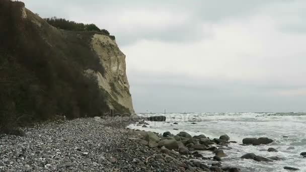 Strand landschap van Kaap Arkona op de kust van de Oostzee. Krijt Cliff en sleedoorn struiken. (Mecklenburg-Vorpommern, Germany). Rugen eiland. — Stockvideo