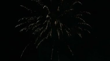 Siyah gökyüzünde renkli mutlu yeni yıl havai fişek.