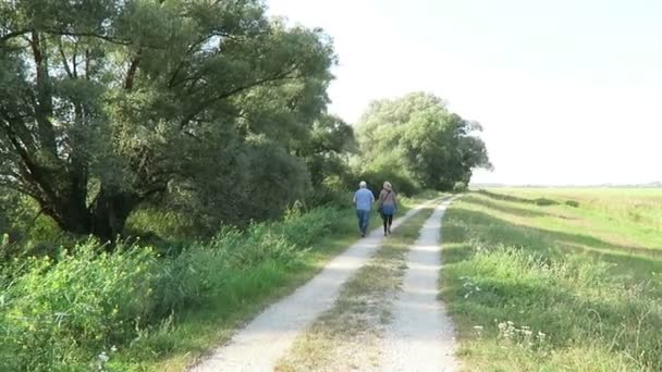 People walking along the dike of Guelper See lake, birdwatching and photographing. Havelland (Brandenburg, Germany) — Stock Video