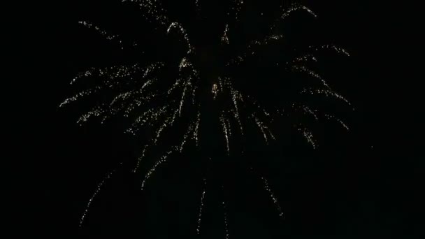 Colorido Feliz año nuevo fuegos artificiales en el cielo negro . — Vídeo de stock