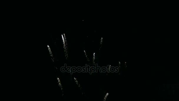 Colorato Felice anno nuovo fuochi d'artificio nel cielo nero . — Video Stock