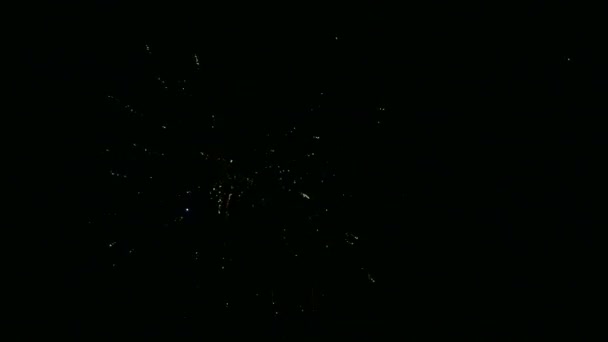 Coloré Bonne année feux d'artifice dans le ciel noir . — Video