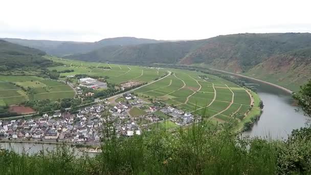 Aerial view over Moselle river and village Briedern with its vineyards. (Germany) — Stock Video