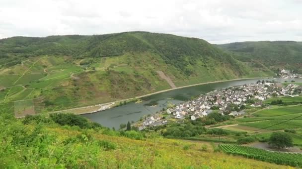 Driving along at vineyards of Moselle river. In background village Beilstein in Rhineland-Palatinate. (Germany) — Stock Video