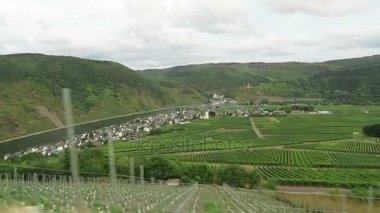 boyunca Moselle Nehri üzüm bağları sürüş. Arka plan köyde Rhineland-Palatinate'deki / daki Beilstein. (Almanya)