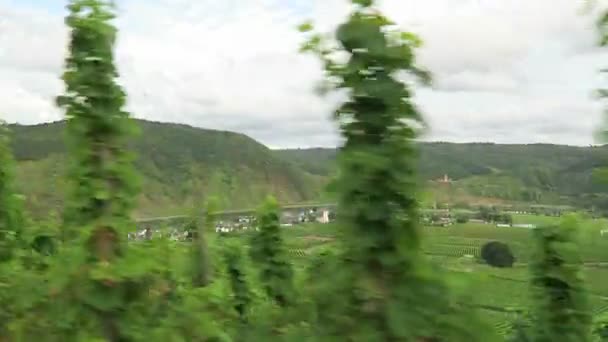 Dirigindo junto às vinhas do rio Moselle. Na aldeia de fundo Beilstein na Renânia-Palatinado. (Alemanha ) — Vídeo de Stock