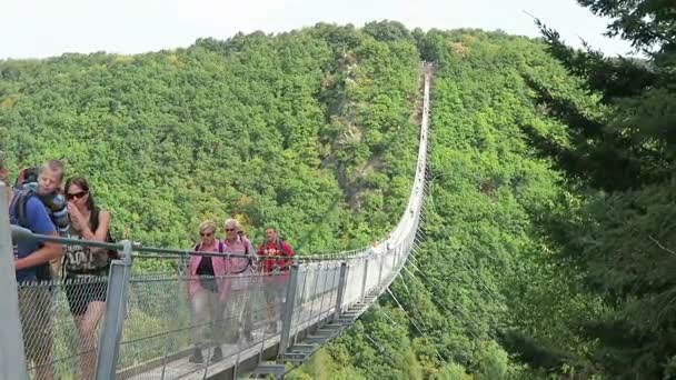 简单悬索桥在 Hunsrueck 山 Moersdorf Geierlay — 图库视频影像