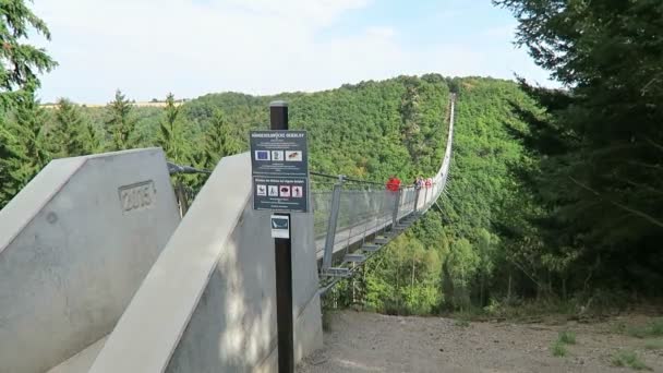 Ponte de suspensão simples Geierlay em Moersdorf nas montanhas Hunsrueck — Vídeo de Stock