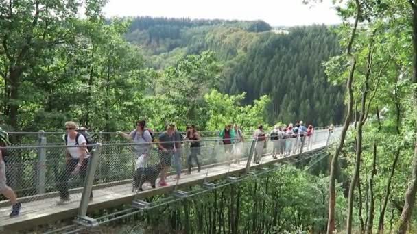 Ponte de suspensão simples Geierlay em Moersdorf nas montanhas Hunsrueck — Vídeo de Stock