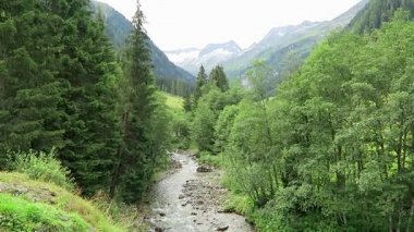 Çayır, ahır ve akışı, vadi yatay Zillertal. Tirol (Avusturya Schoenachtal Vadisi'nde yer alan).