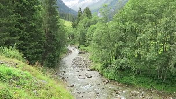 Wędkarstwo muchowe w strumieniu w Alpach. — Wideo stockowe