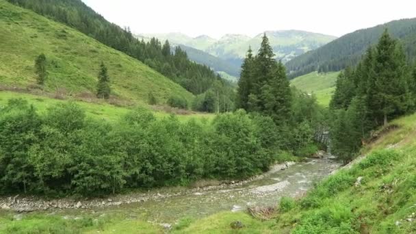 Zillertal völgyben fekvő rét, pajta és patak. Tirol (Ausztria Schoenachtal-völgyben található). — Stock videók