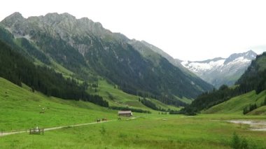Çayır, ahır ve akışı, vadi yatay Zillertal. Tirol (Avusturya Schoenachtal Vadisi'nde yer alan).