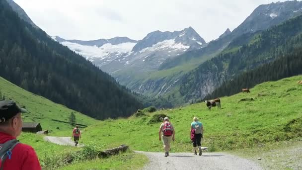 Турист, гуляючи по долині Schoenachtal біля Zillertal долини в Австрії / Тіроль — стокове відео