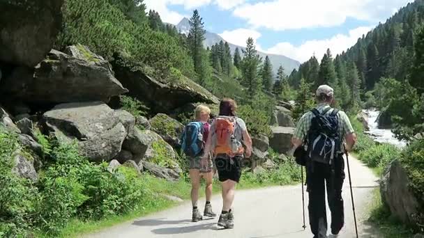 Personer som besöker vattenfallen Krimml, vandring längs vandringsleden till falls och in i achental dalen. Österrike. — Stockvideo