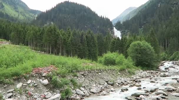 Pinzgau、オーストリアのザルツブルクで美術史。フォレストとヨーロッパ ・ アルプスの風景. — ストック動画