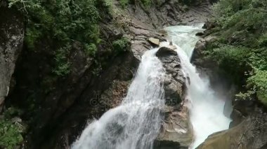 Krimml şelaleler Pinzgau, Avusturya Salzburger arazi içinde. Avrupa Alpleri manzara orman ile.