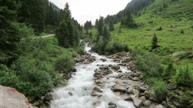 Zillertal Alps su ama stream orman ve dağlar. Hohe Tauern ulus Parkı. Schwarzachtal.